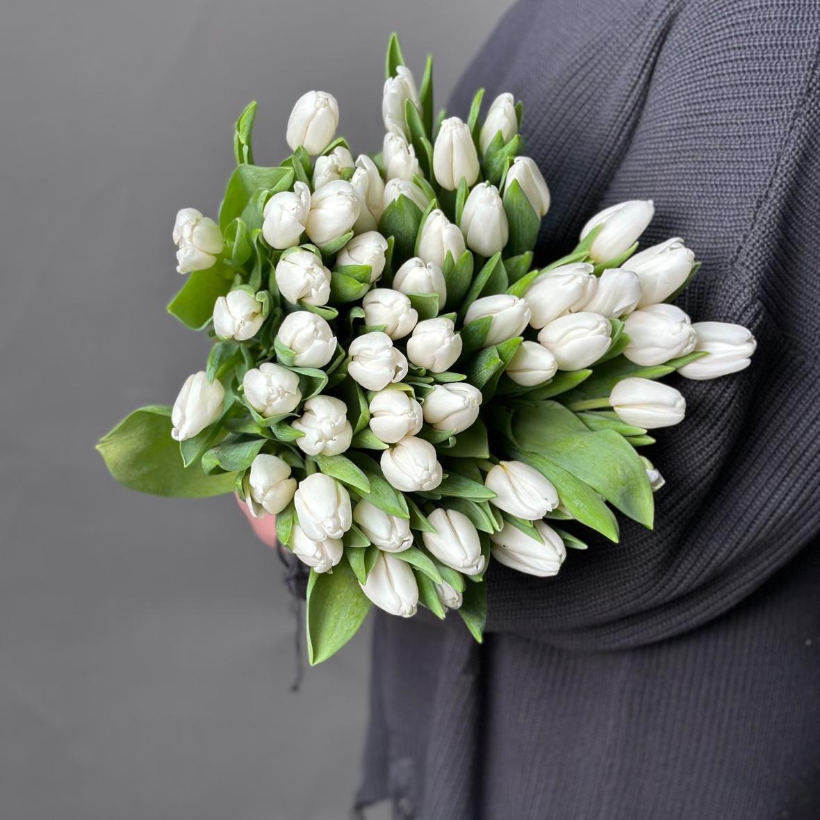 Тюльпан 51шт