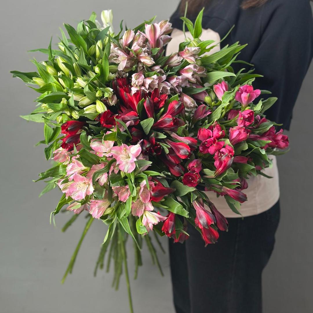 Альстромерия