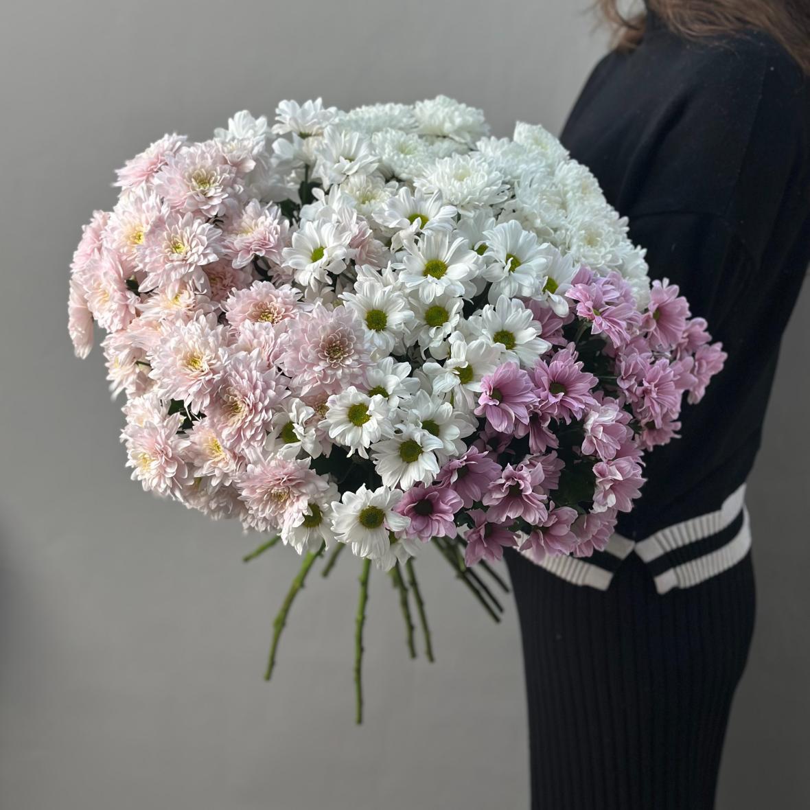 Хризантема кустовая