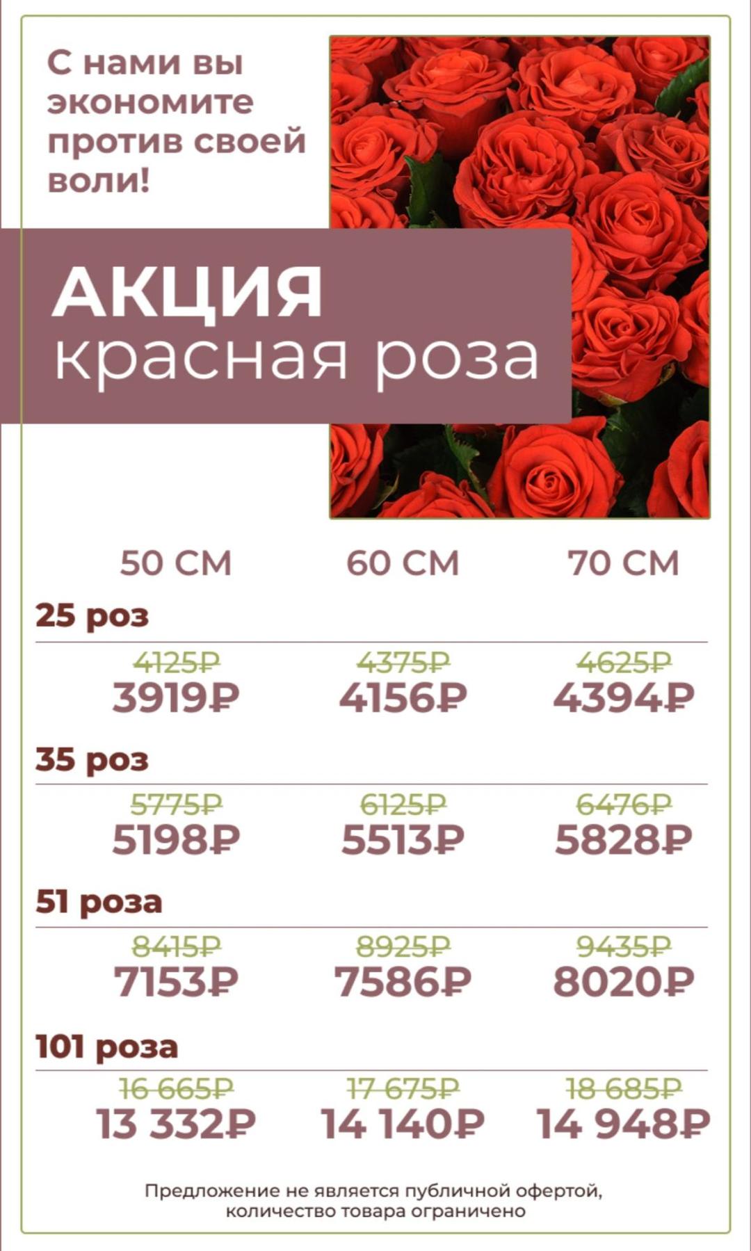акция от количества красная роза